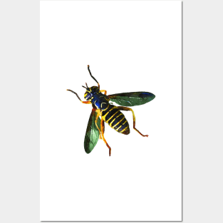 Hornet Fly Posters and Art